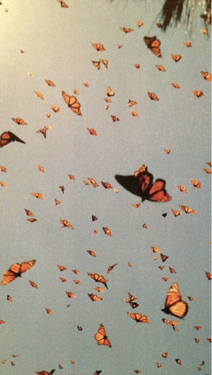 viele fliegende gelbe Schmetterlinge, Foto mit vintage vsco Filter, aesthetic wallpaper Hd, Bilder Handy Hintergrund