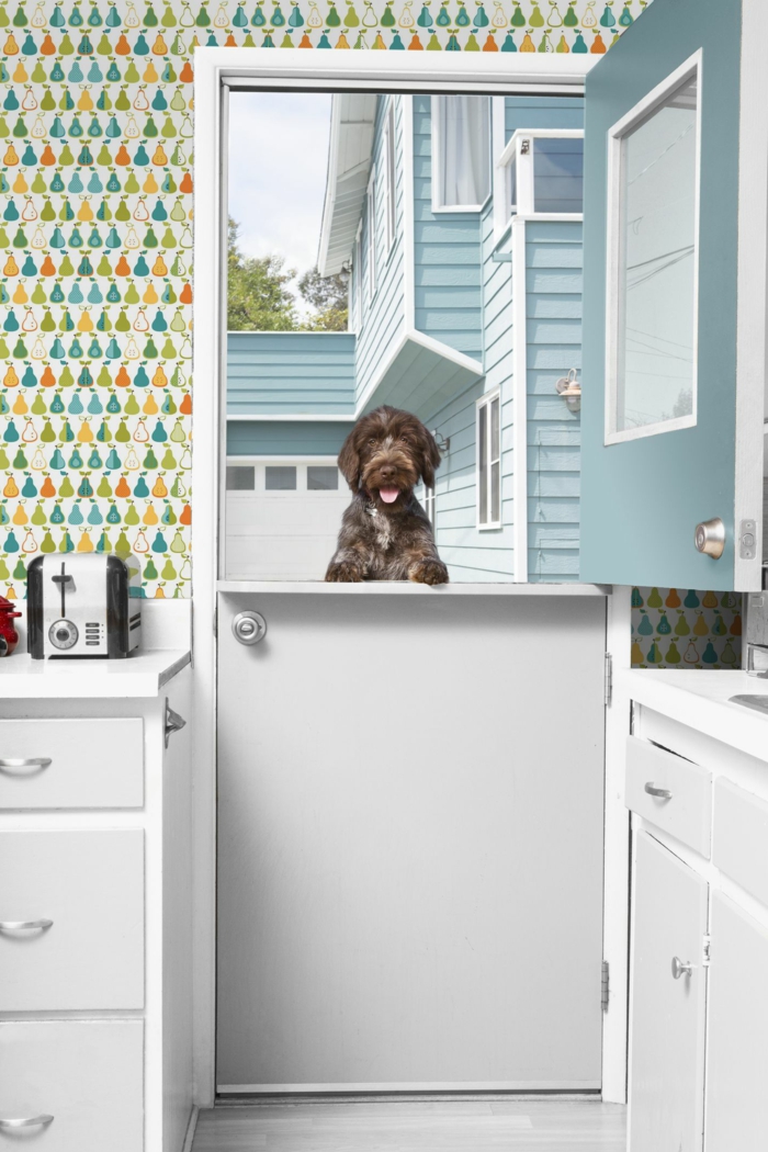 bunte abwaschbare Tapete, Interior Design vom Haus, Küche mit Tür zum Hof, großer brauner Hund