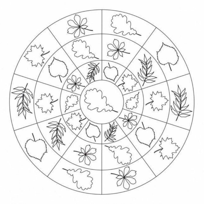 kreisförmiges Bild mit vielen verschiedenen Blättern, Frühlingsbilder zum ausmalen