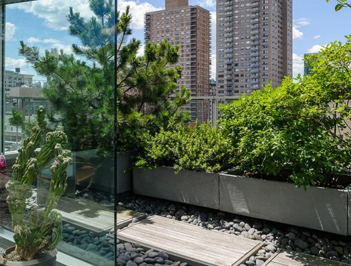 steingarten bilder dachgärten mit kiselsteinen grüne pflanze und bäume außeneinrichtung ideen