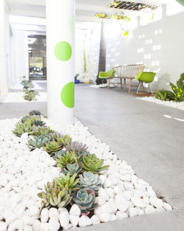weiße steine und kakteen moderne außeneinrichtung gartengestaltung mit steinen minimalistisches design