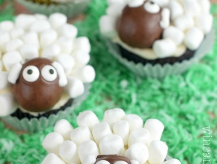 einfache tiere cupcakes ideen muffin rezept kinder weiß braune schafe lustige muffins für kindergeburtstag