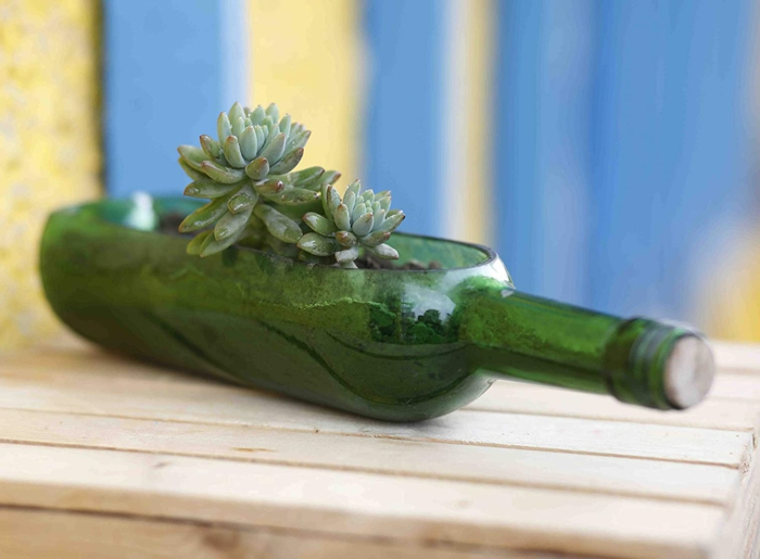 blumentopf aus einer alten grünen flasche für wein ideen für nachhatige geschenke für frauen resized