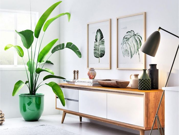 deko große grüne pflanze moderne minimalistische bilder sideboard skandinavisch wohnzimmer möbel im scandi style graue und schwarze teppiche schwarze lampe