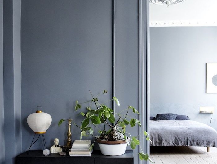 minimalistische inneneinrichtung wandfarbe grau blau wohnzimmer schlafzimmer einrichtung ideen große grüne pflanze schwarzer schrank