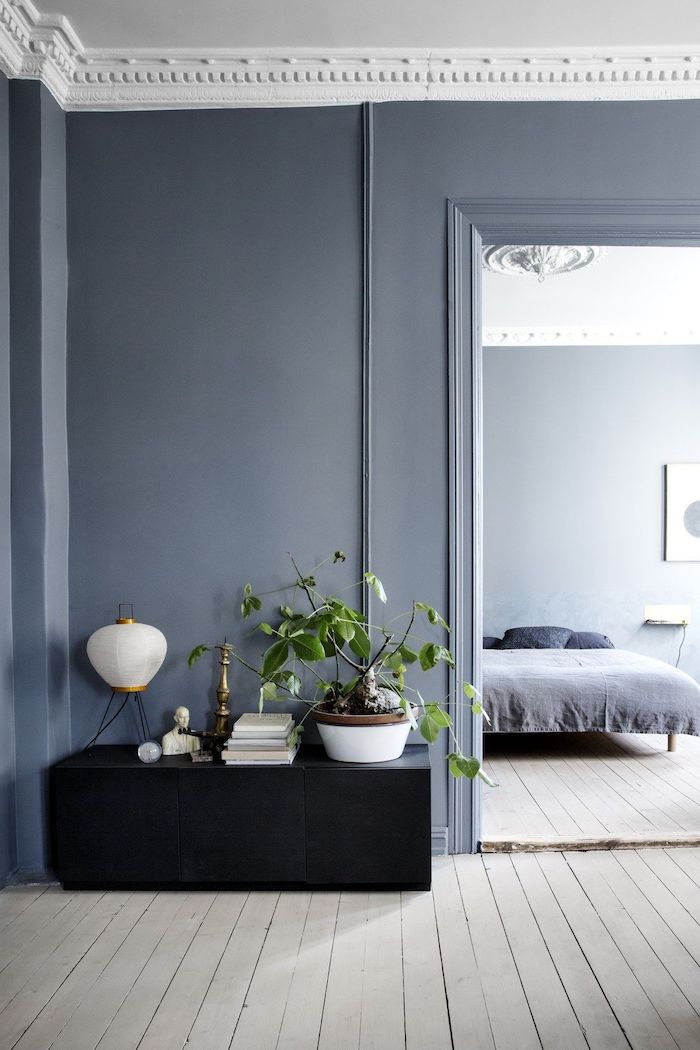 minimalistische inneneinrichtung wandfarbe grau blau wohnzimmer schlafzimmer einrichtung ideen große grüne pflanze schwarzer schrank