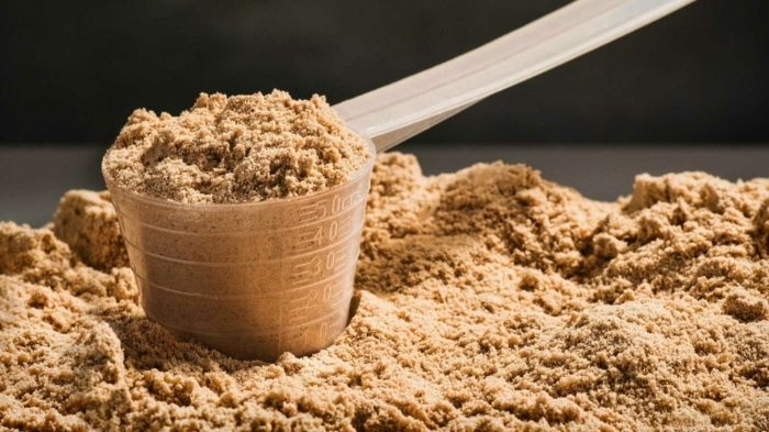 protein zum abnehmen die besten proteinpulver eiweißpulver mit schokoalde schokopulver rezepte