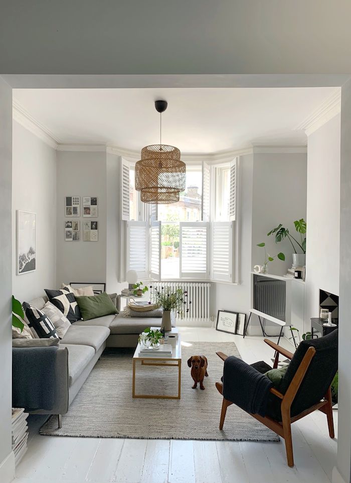 scandi sofa in grau mit grünen und blauen kissen gemütliche einrichtung wohnzimmer scandi style holzstuhl mit grüner polsterung kleiner dackel scandi teppich