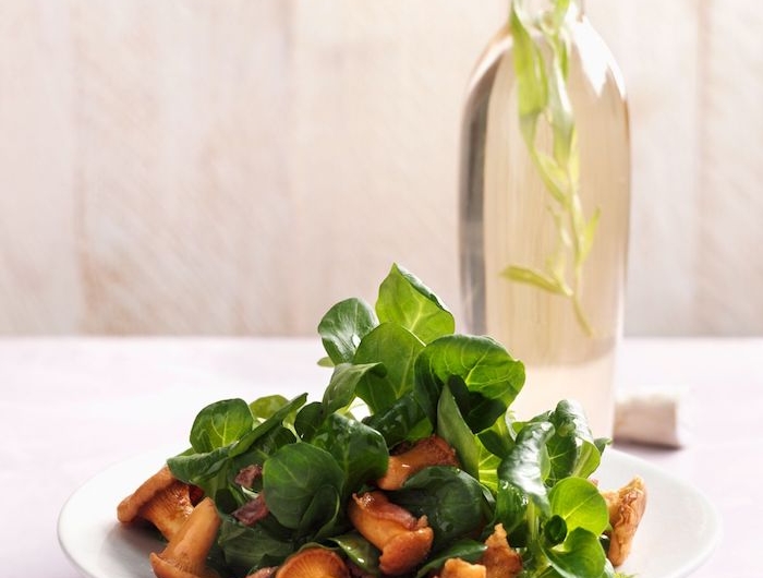 dressing für feldsalat zubereiten rezept eine pinke decke weißer teller mit salat mit feldsalat und kleinen orangen pilzen