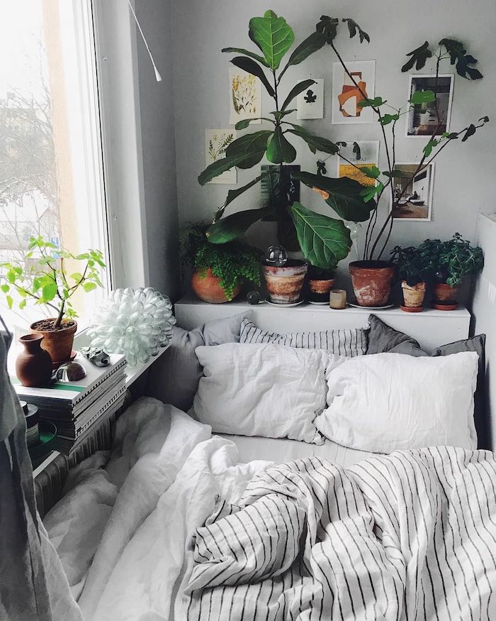 grüne pflanzen dekoration innenausstattung schlafzimmer minimalistisch zimmer tumblr einrichten wie kleine bilder an die wand