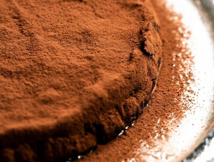 schokokuchen ohne zucker zuckerfreier schokoaldenkuchen saftiger schokokuchen garniert mit kakao gesunder nachtisch