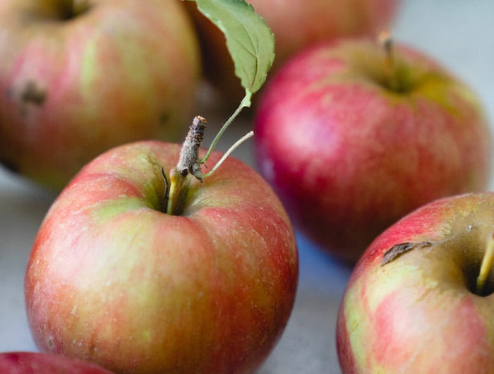 viele große apfelsorten die sich für die zubereitung des apple crumble eignen