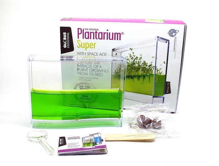 ein plantarium set mit wasser und pflanzen ideen für geschenke für die beste freundin