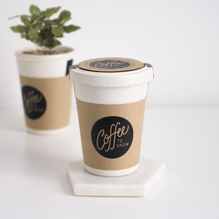 eine tasse kaffee to go eine pflanze ein blumentopf idee für geschenk