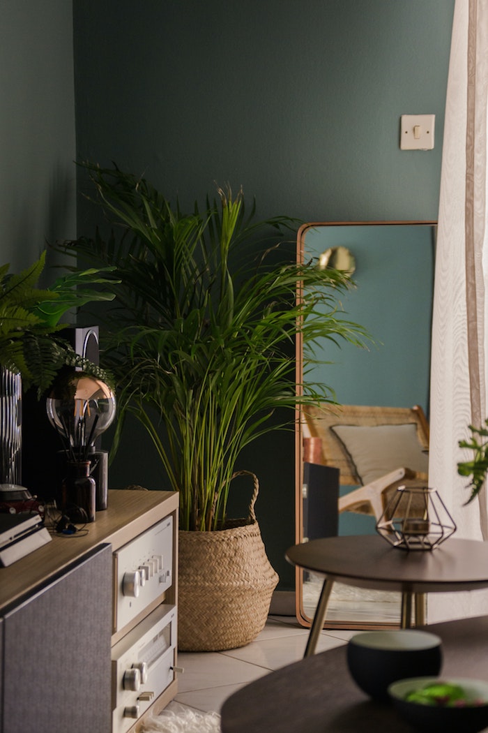 interior design 2020 ideen und inspiration wohnzimmer einrichten große grüne pflanzen minimalistischer spiegel wandfarbe grün runder tisch schwarz stilvolle deko