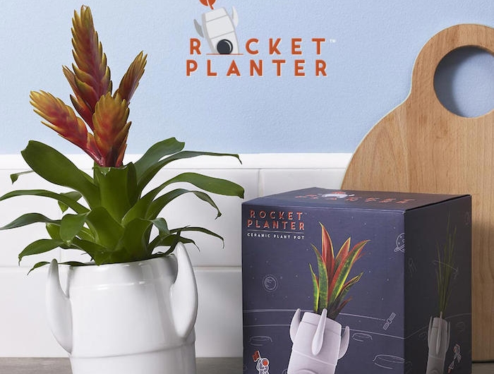 rocket planter mit einer grünen pflanze ideen für geschenke für die beste freundin ein holzbrett