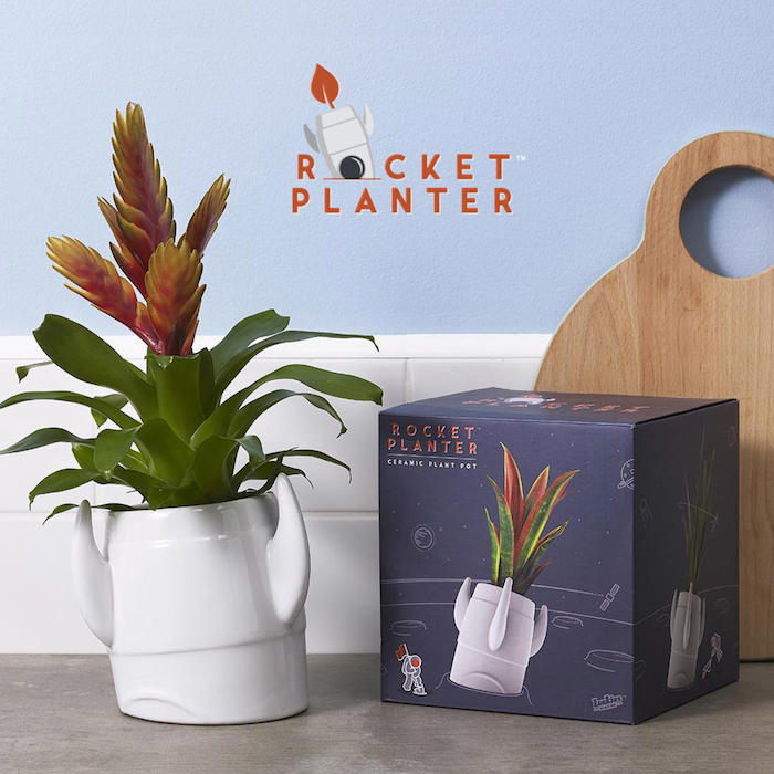 rocket planter mit einer grünen pflanze ideen für geschenke für die beste freundin ein holzbrett