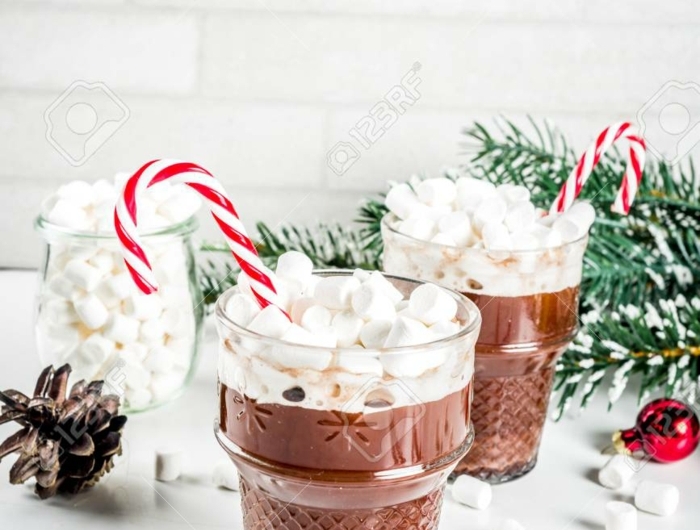 peppermint hot chocolate with marshmallow