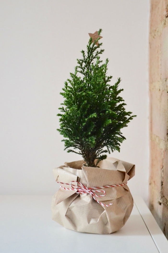 bastelideen für weihanchten last minute geschenke weihanchtsgeschenke ideen kleiner baum grüne pflanze dverpacken