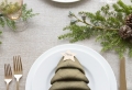 Servietten falten für Weihnachten - verblüffend schöne Ideen
