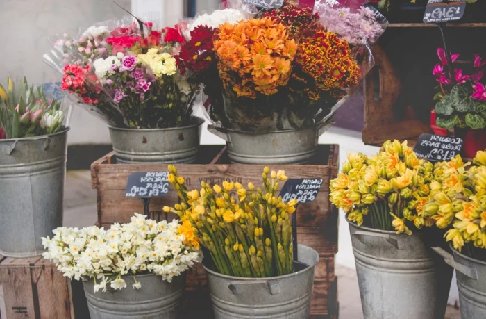 blumen zu weihnachten geschenk blumengeschäft vasen mit blumen auswählen