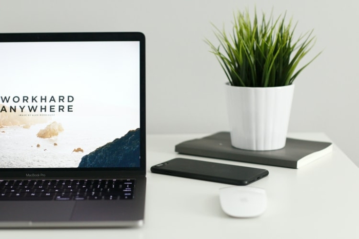 mac book pro laptop schwarz grüne pflanze auf dem schreibtisch bürü einrichten ideen und inspiration