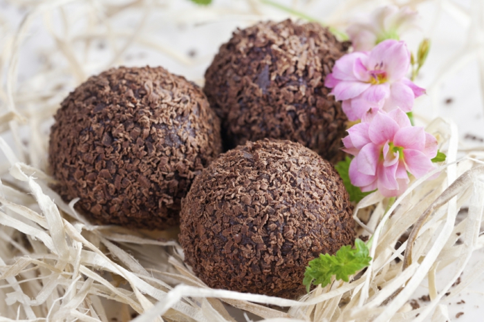 chocolate truffle in nest