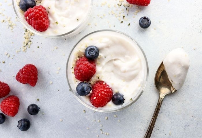 joghurt selber machen mit maschine gesunde rezepte nussmilchjoghurt mandelmilchjoghurt