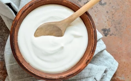 joghurt selber machen schritt für schritt bulgarischer joghurt rezept