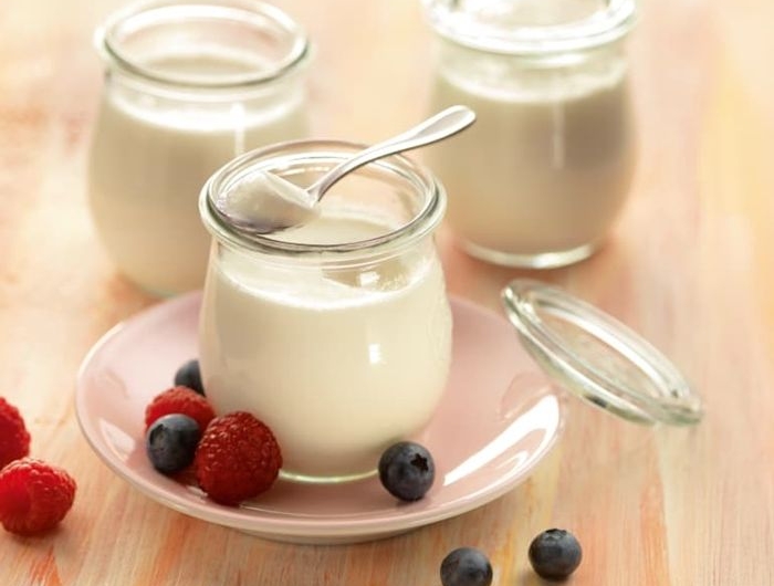 naturjoghurt selber machen gesundes rezept mit kokosmilch kokosjighurt selbst herstellen
