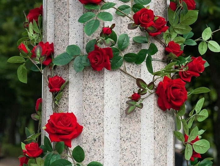 rosen richtig schneiden gartendeko mit blumen rote rosen gartendeko beispiele