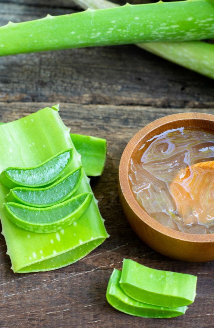 grüne pflanze aloe vera stücke schüssel mit gel aloe vera pflege für den körper