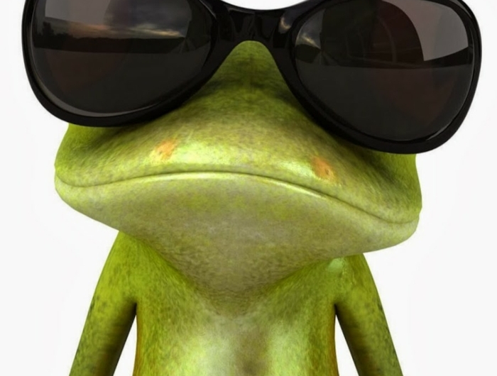 grüner frosch mit großen schwarzen sonnenbrillen lustige profilbilder ideen witzige fotos mit tieren.