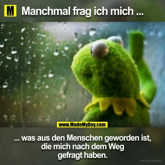 39++ Witzig lustige frosch bilder mit sprueche , 1001+ lustige Bilder zum Totlachen, die die Stimmung verbessern