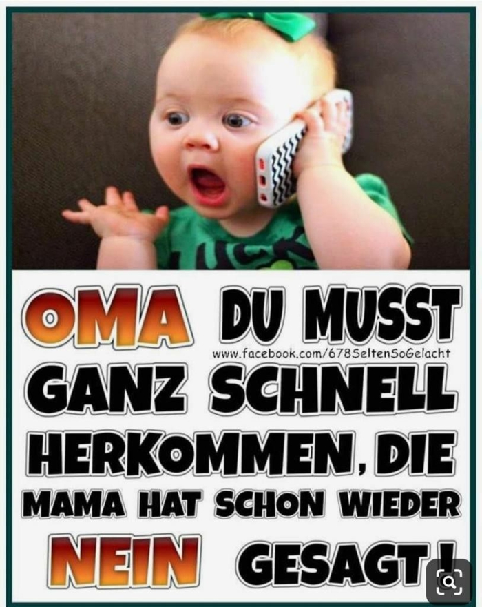 Lustige Bilder Telefon:  Dein Lacher für den Alltag!