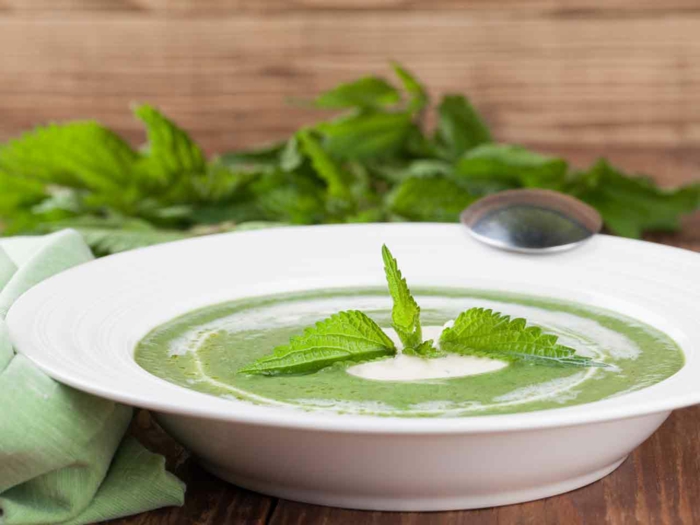 tisch aus holz eine weiße schüssel mit grüner suppe mit sahne vegan kochen