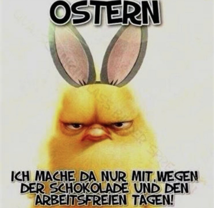 wütender gelber hase frohe ostern lustig whatsapp bilder online kostenlos