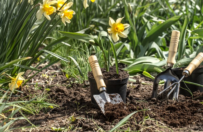 planting flowers in the garden, garden tools, flowers