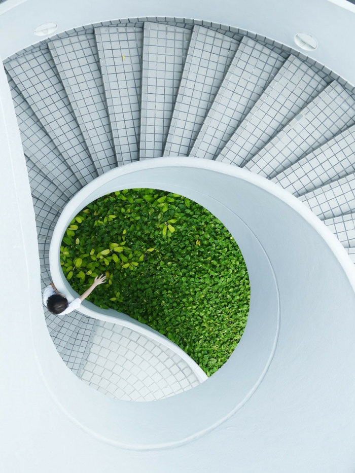 grüne pflanzen nachhaltiges bauen moderne architektur gebäude mit treppen modernes bauen