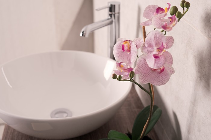 soft focus of orchids flower beside a sink in a bathroom