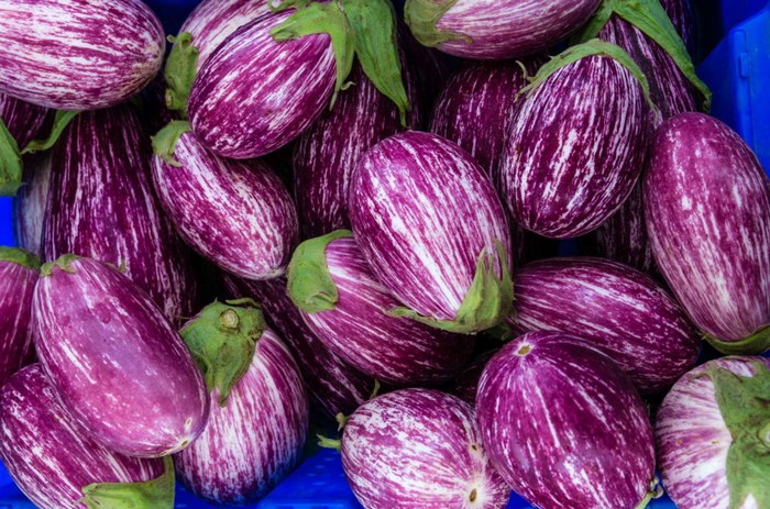 gerichte mit auberginen aubergine braten aubergine zubereiten aubergine roh essen rohe italienische auberginen