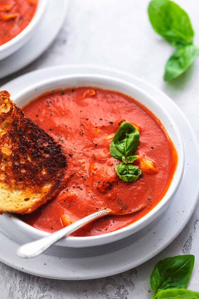 tomatensuppe passierte tomaten suppe mit gemüse vegetarisch lecker schnell einfach