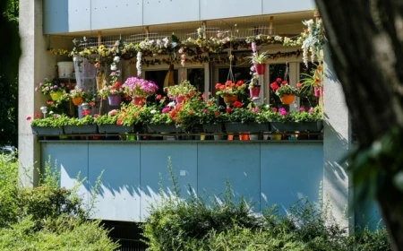 viele blumenkästen mit roten blumen