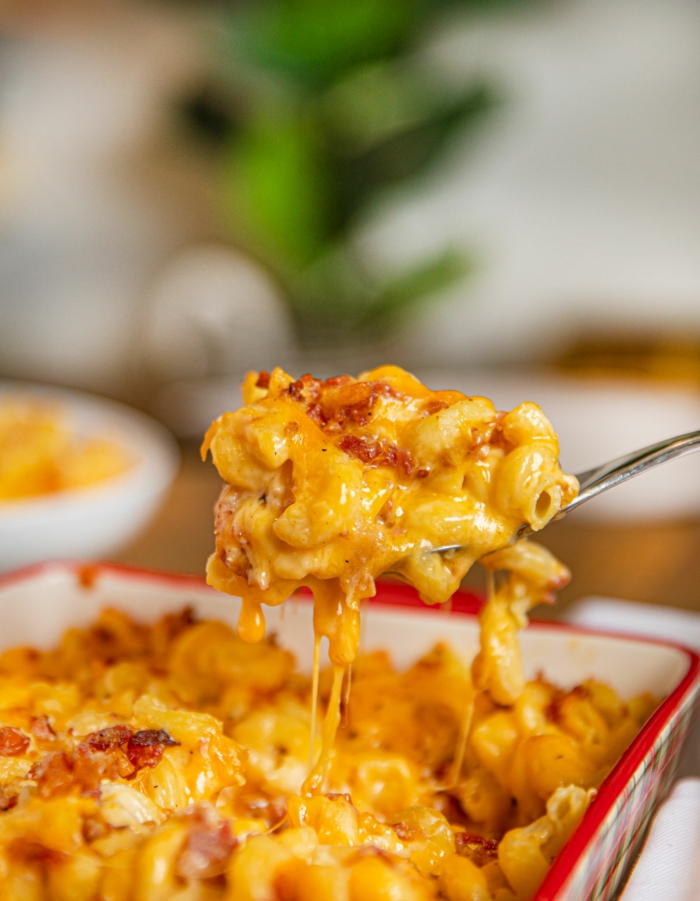 eine gabel mac and cheese rezept einfach pasta und käse