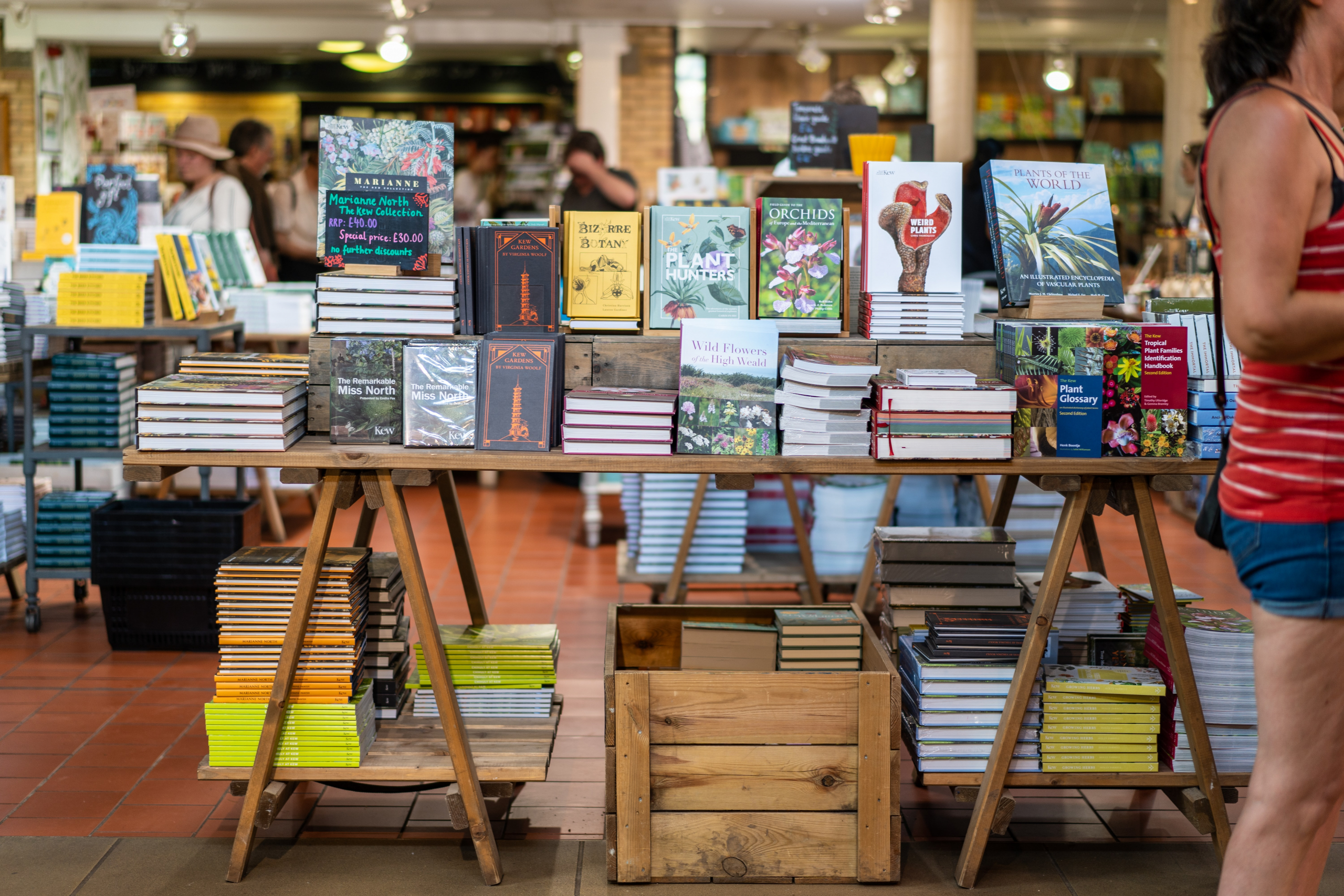 buchhandlung sommerbücher leseempfehlungen wählen was im sommer lesen vorschläge thalia buchhandlung regale aus holz mit büchern