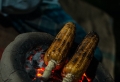 Maiskolben kochen – hilfreiche Tipps und schnelle Rezepte für mexikanische Maiskolben
