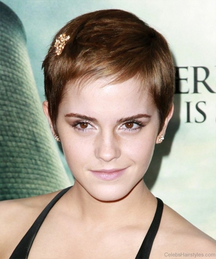 1001 Schicke Pixie Cut 2021 Ideen Die Immer Modern Sind