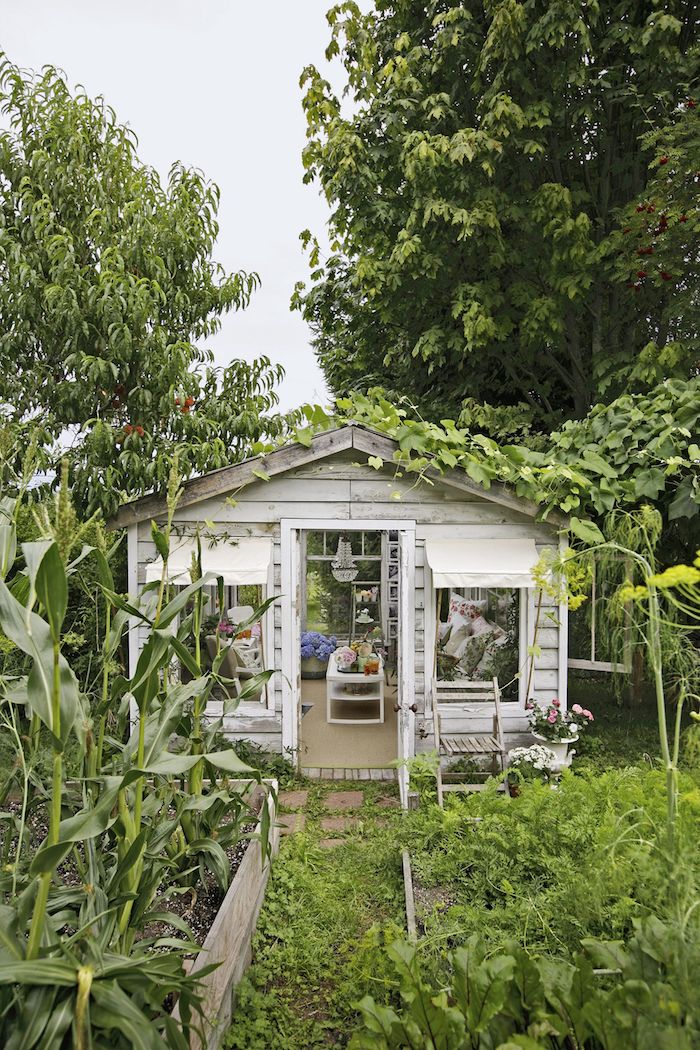 viele grüne pflanzen und bäume renoviertes kleines gartenhaus mit tisch und sofa außeneinrichtung ideen und inspiration