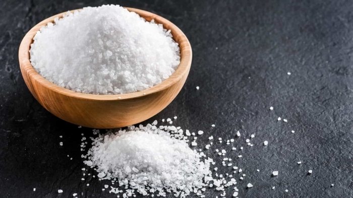 ameisen bekäpfen effektive natürliche hausmittel salz meersalz in hölzerner schale