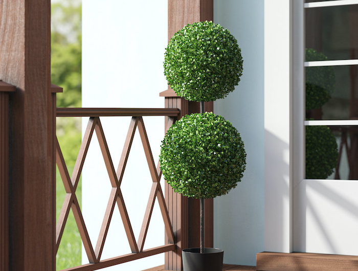 eine terrasse mit einem buchsbaum garten gestalten ideen
